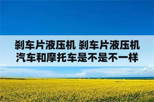 刹车片液压机 刹车片液压机汽车和摩托车是不是不一样