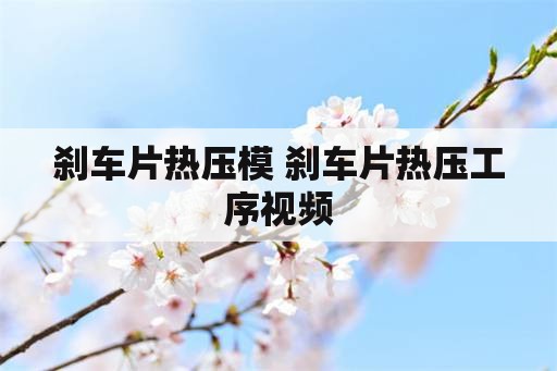 刹车片热压模 刹车片热压工序视频