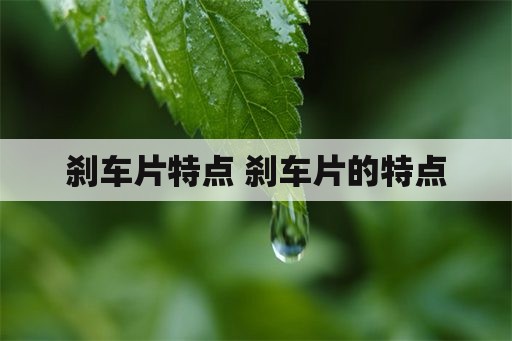 刹车片特点 刹车片的特点