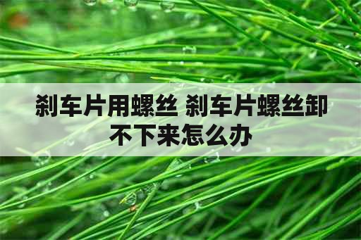 刹车片用螺丝 刹车片螺丝卸不下来怎么办