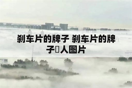 刹车片的牌子 刹车片的牌子孖人图片