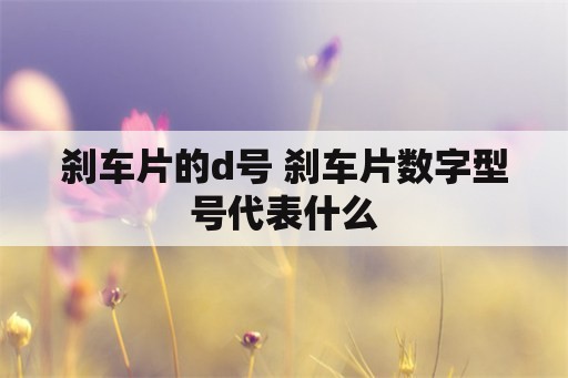 刹车片的d号 刹车片数字型号代表什么