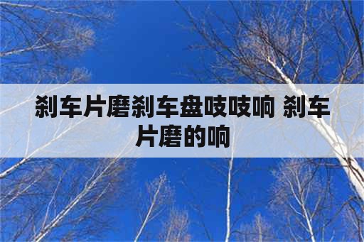 刹车片磨刹车盘吱吱响 刹车片磨的响