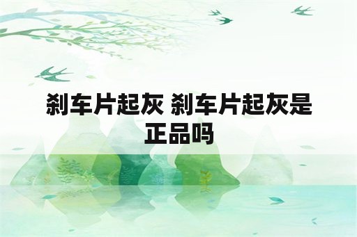 刹车片起灰 刹车片起灰是正品吗