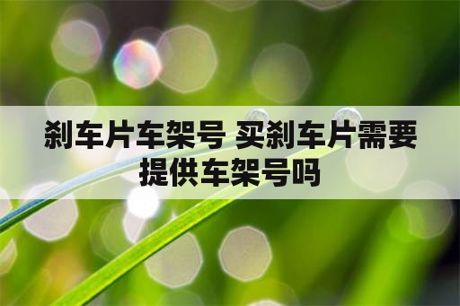 刹车片车架号 买刹车片需要提供车架号吗