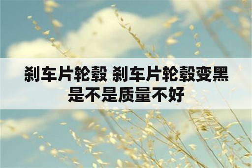 刹车片轮毂 刹车片轮毂变黑是不是质量不好