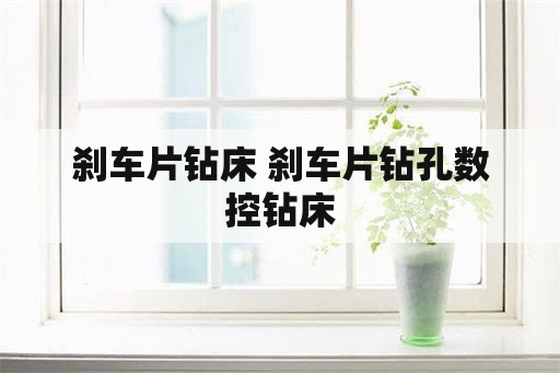 刹车片钻床 刹车片钻孔数控钻床