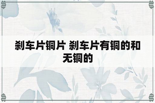 刹车片铜片 刹车片有铜的和无铜的