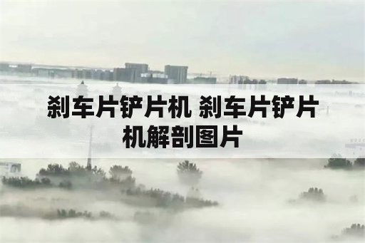 刹车片铲片机 刹车片铲片机解剖图片