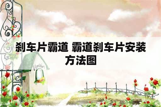 刹车片霸道 霸道刹车片安装方法图