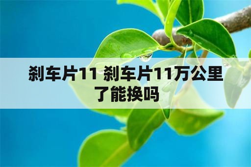 刹车片11 刹车片11万公里了能换吗