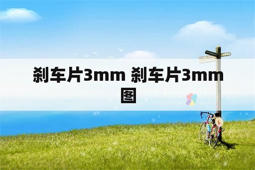 刹车片3mm 刹车片3mm图