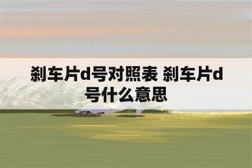 刹车片d号对照表 刹车片d号什么意思