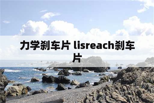 力学刹车片 lisreach刹车片