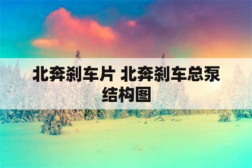 北奔刹车片 北奔刹车总泵结构图