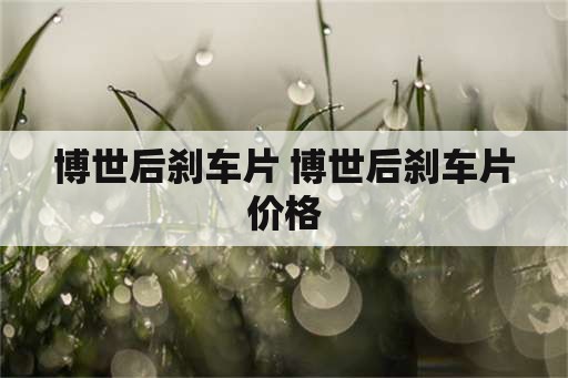 博世后刹车片 博世后刹车片价格