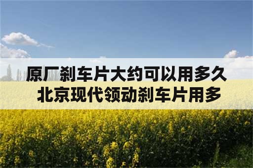 原厂刹车片大约可以用多久 北京现代领动刹车片用多久？