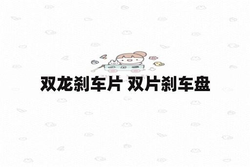 双龙刹车片 双片刹车盘