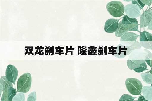 双龙刹车片 隆鑫刹车片