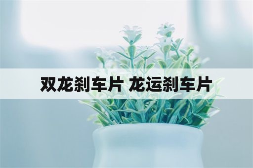 双龙刹车片 龙运刹车片