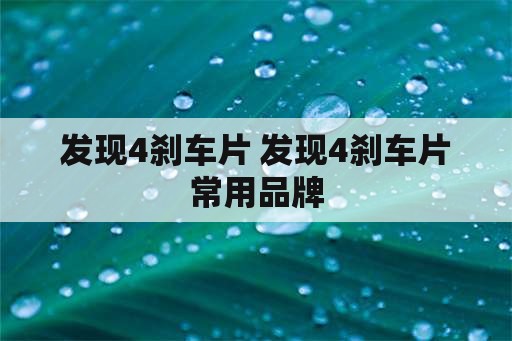 发现4刹车片 发现4刹车片常用品牌