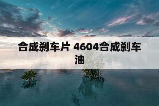 合成刹车片 4604合成刹车油