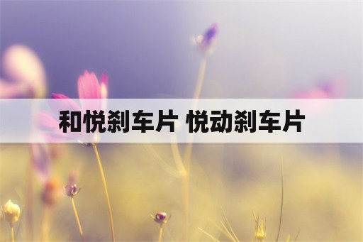 和悦刹车片 悦动刹车片