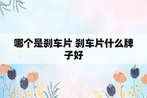 哪个是刹车片 刹车片什么牌子好