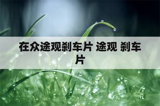 在众途观刹车片 途观 刹车片