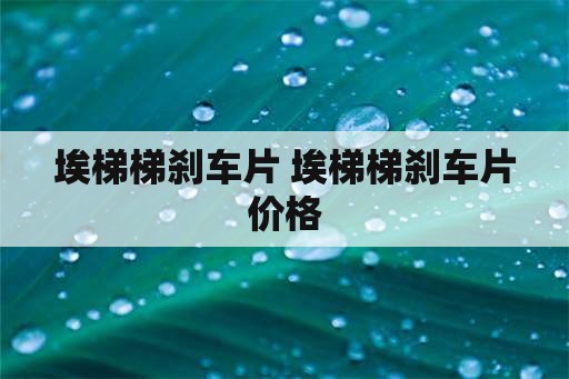 埃梯梯刹车片 埃梯梯刹车片价格