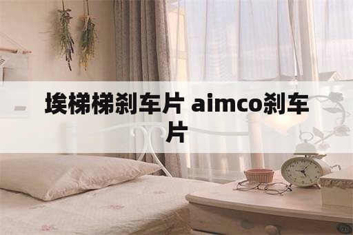 埃梯梯刹车片 aimco刹车片