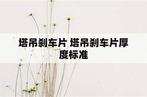 塔吊刹车片 塔吊刹车片厚度标准