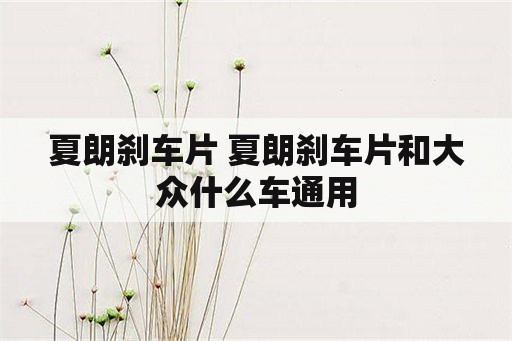 夏朗刹车片 夏朗刹车片和大众什么车通用