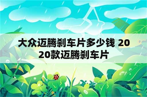 大众迈腾刹车片多少钱 2020款迈腾刹车片