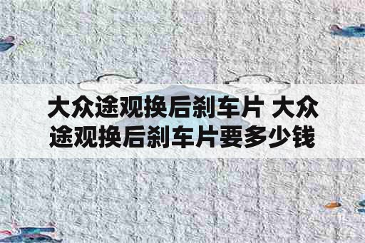 大众途观换后刹车片 大众途观换后刹车片要多少钱