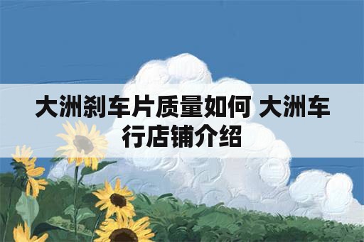 大洲刹车片质量如何 大洲车行店铺介绍