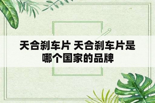 天合刹车片 天合刹车片是哪个国家的品牌