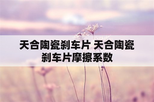 天合陶瓷刹车片 天合陶瓷刹车片摩擦系数