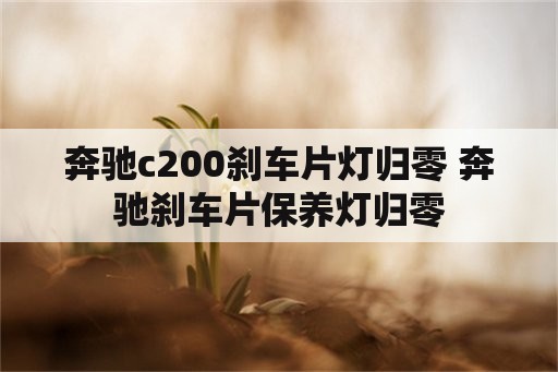 奔驰c200刹车片灯归零 奔驰刹车片保养灯归零