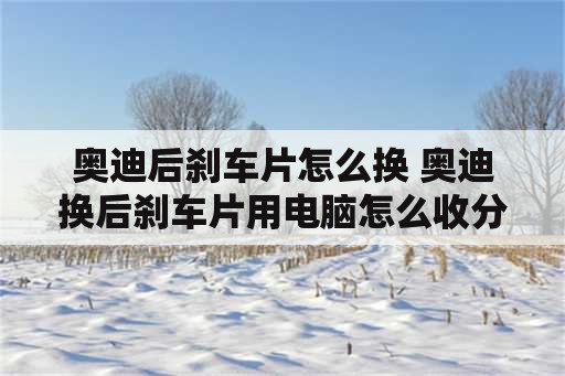 奥迪后刹车片怎么换 奥迪换后刹车片用电脑怎么收分泵