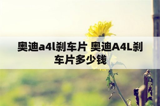 奥迪a4l刹车片 奥迪A4L刹车片多少钱