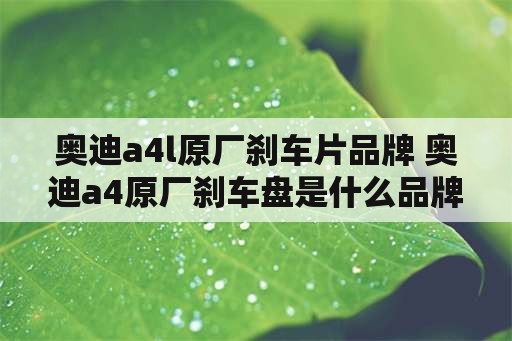 奥迪a4l原厂刹车片品牌 奥迪a4原厂刹车盘是什么品牌的