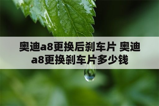 奥迪a8更换后刹车片 奥迪a8更换刹车片多少钱