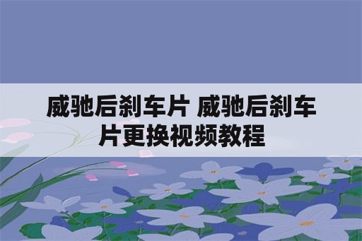 威驰后刹车片 威驰后刹车片更换视频教程