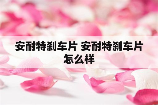 安耐特刹车片 安耐特刹车片怎么样