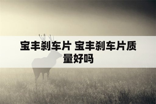 宝丰刹车片 宝丰刹车片质量好吗