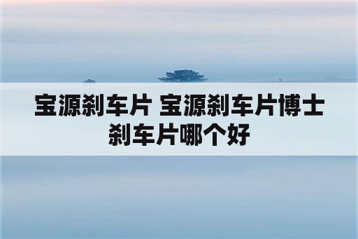 宝源刹车片 宝源刹车片博士刹车片哪个好