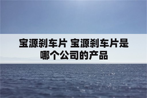 宝源刹车片 宝源刹车片是哪个公司的产品