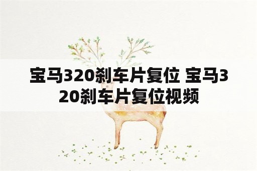 宝马320刹车片复位 宝马320刹车片复位视频