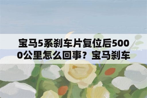 宝马5系刹车片复位后5000公里怎么回事？宝马刹车片复位后只显示5000公里？